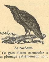Citation block thumbnail