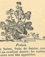 Citation block thumbnail
