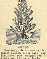 Citation block thumbnail