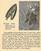 Citation block thumbnail