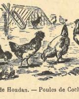 Citation block thumbnail