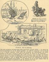 Citation block thumbnail