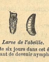 Citation block thumbnail