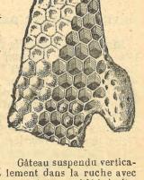 Citation block thumbnail