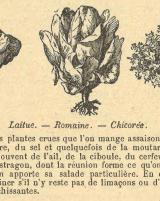 Citation block thumbnail