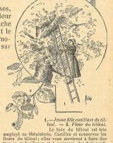 Citation block thumbnail