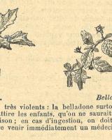 Citation block thumbnail