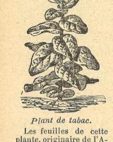 Citation block thumbnail
