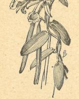 Citation block thumbnail