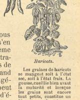 Citation block thumbnail