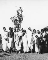 Citation block thumbnail