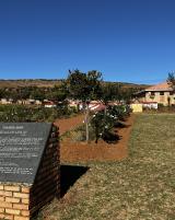 Citation block thumbnail