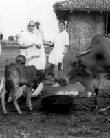 Citation block thumbnail