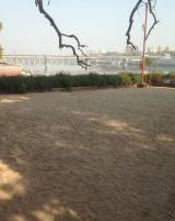 Citation block thumbnail