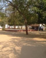 Citation block thumbnail