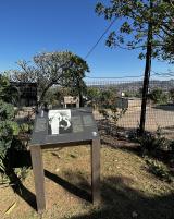 Citation block thumbnail