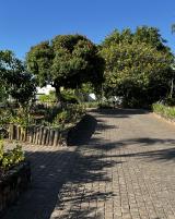 Citation block thumbnail