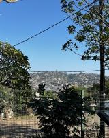 Citation block thumbnail