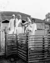 Citation block thumbnail