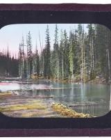 Citation block thumbnail