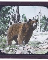 Citation block thumbnail