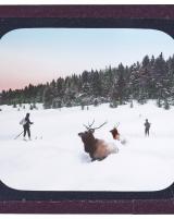 Citation block thumbnail