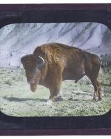 Citation block thumbnail