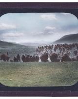 Citation block thumbnail